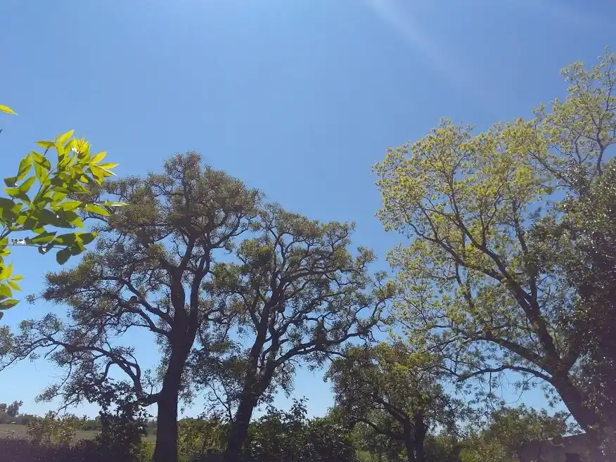 Jueves a pleno sol en la ciudad