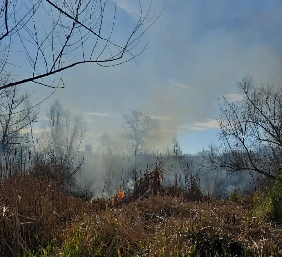 Incendio celupaper - 1