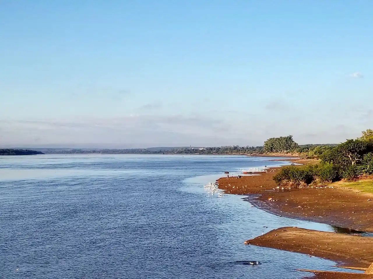 Entre Ríos suspende el límite de acopio de pescado en el río Uruguay