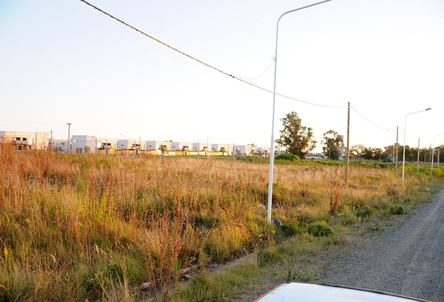 El gobierno abrió el Registro Único de Solicitantes de Lotes para cesión de tierras ociosas