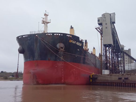 Altura del río: el Paraná se mantiene en niveles de aguas bajas