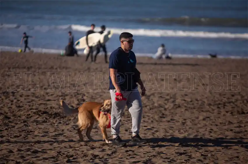 La Provincia presentó a los intendentes protocolos sanitarios para la temporada
