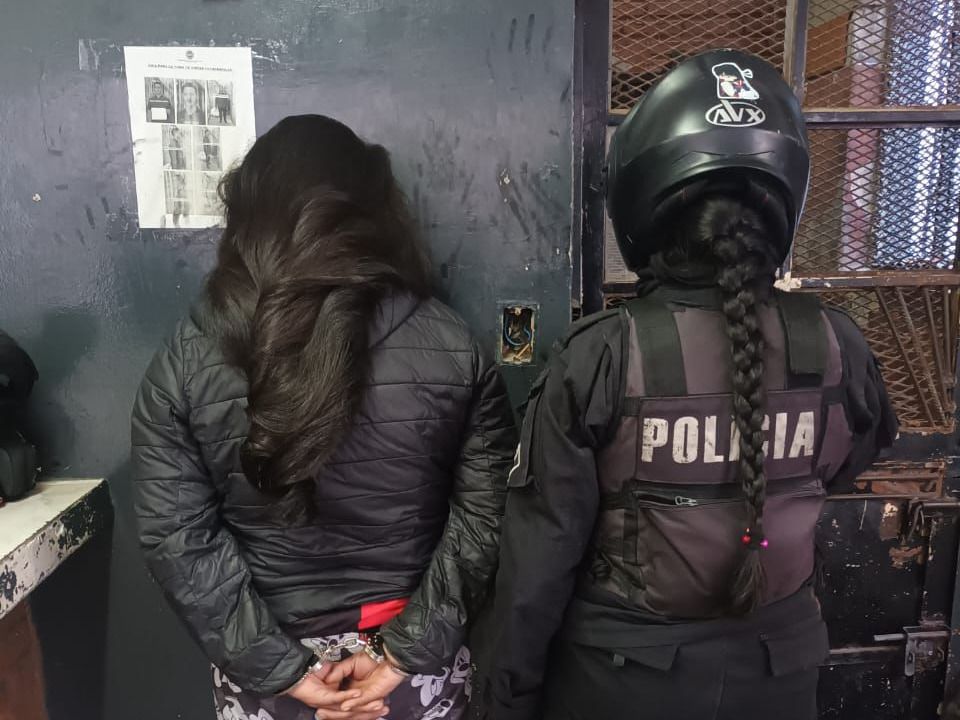 Detuvieron a una mujer que amenazó a un chofer de colectivo en el centro.