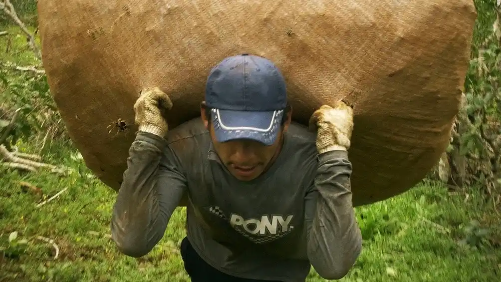 Pasó para el 29 de febrero la sesión que definirá los precios de la hoja de la yerba mate