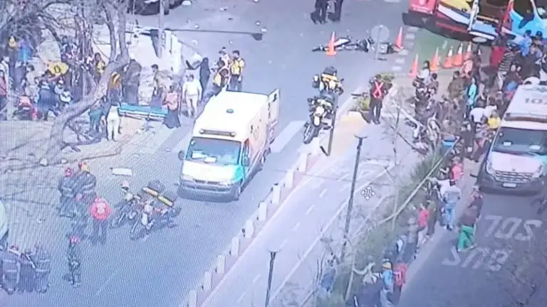 También embistió varios autos.