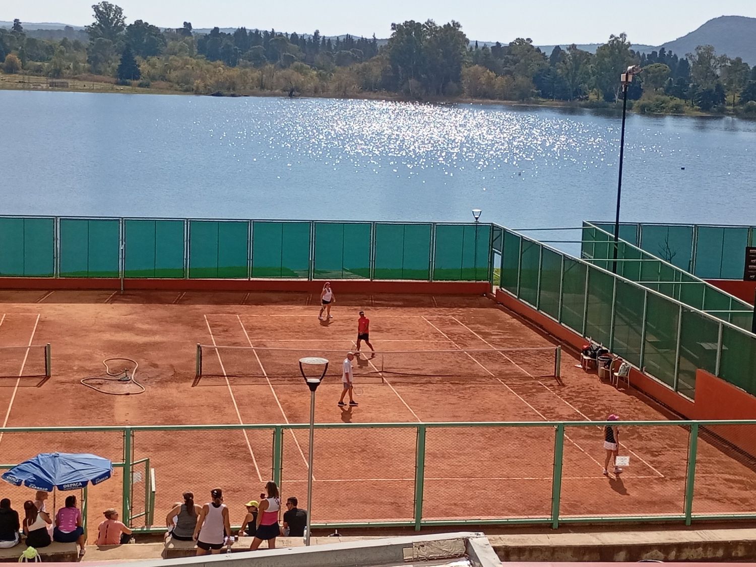 tenis