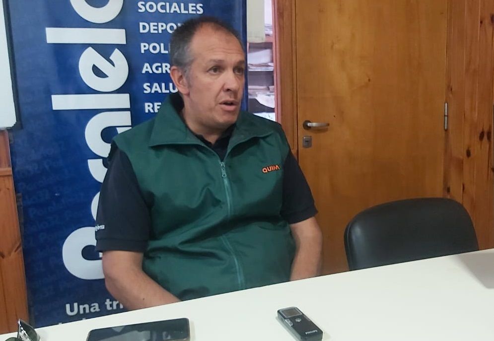 La siembra de colza creció un 59 % en la provincia