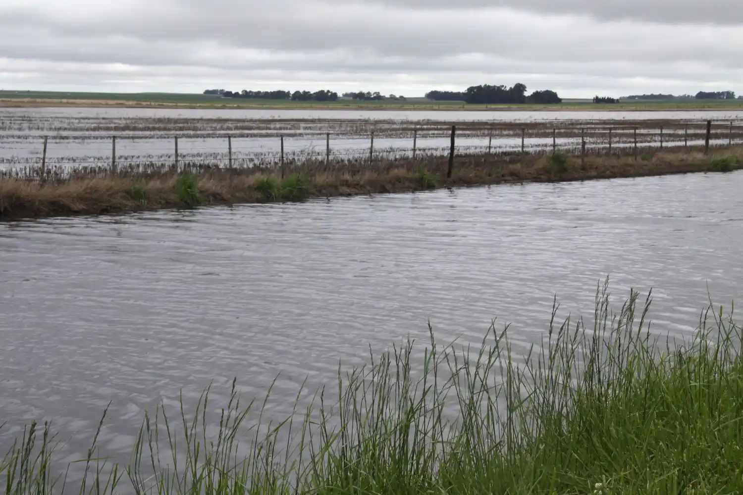 La Provincia creó una “Mesa de Riesgo Hídrico” ante posibles inundaciones
