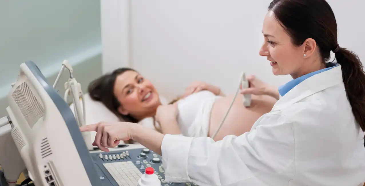 En este día, se homenajea a las dos partes cruciales durante la gestación.