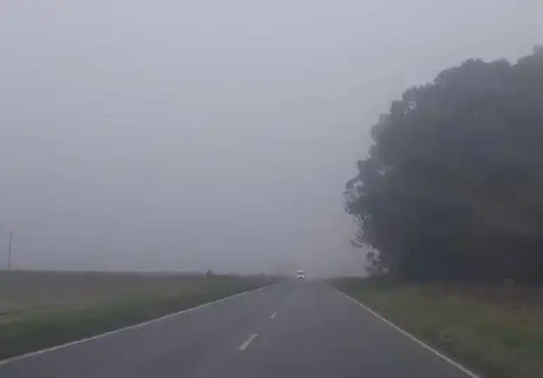 Informe especial del Servicio Meteorológico por bancos de niebla en Tandil y la zona