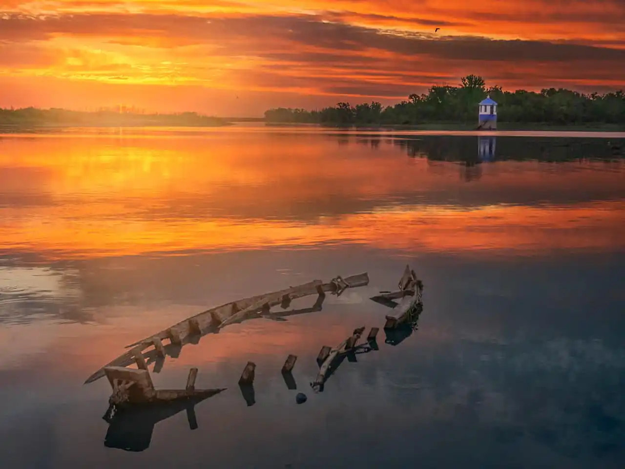 Museo de Primavera en homenaje a ‘Coqui’ Lami