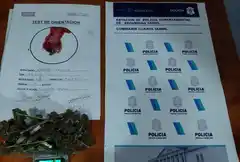 Allanaron una vivienda por un hurto y descubrieron que comercializaban estupefacientes