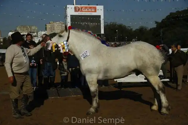 Cabaña “La Libertad” de “La Conchera S. A.”
