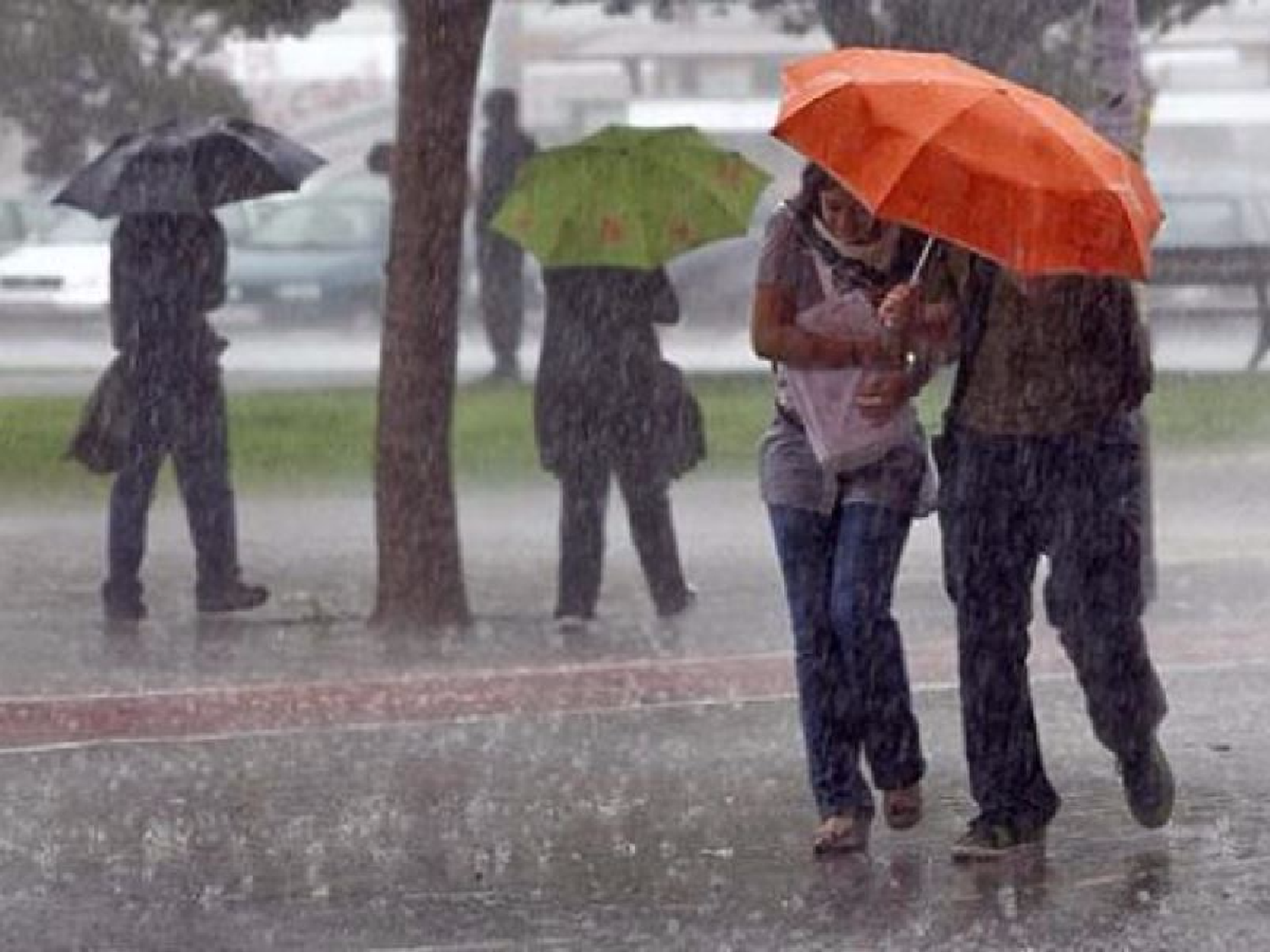 Renuevan alerta por fuertes tormentas para nuestra ciudad y aconsejan limpiar ramas y hojas de las calles