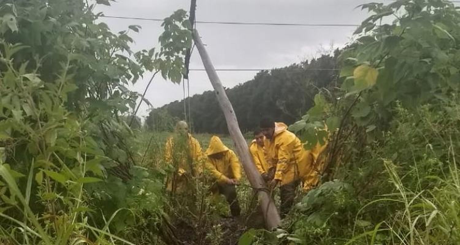 Coopser: cortes de luz por postes y ramas caídas en zona rural y localidades