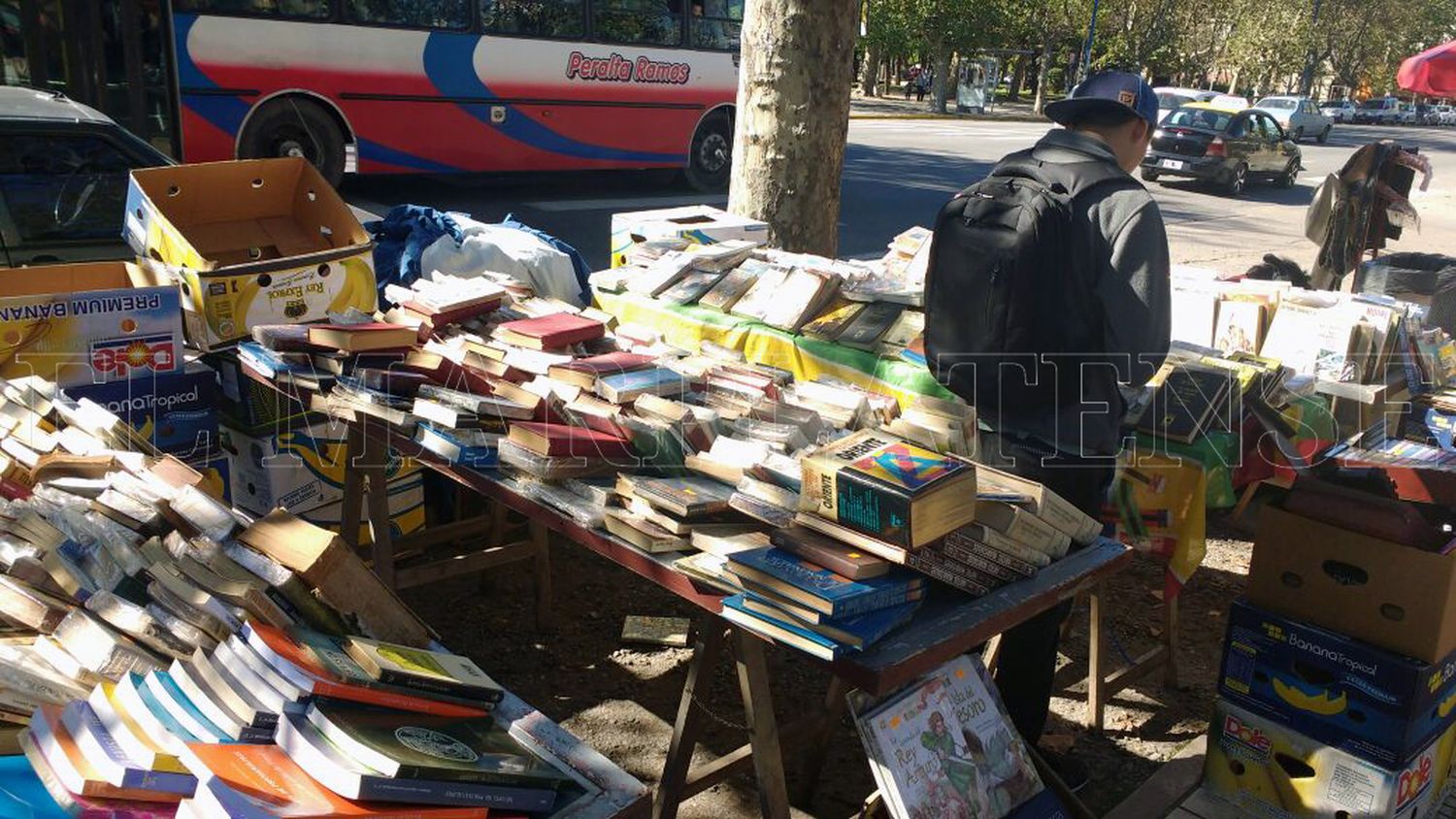 Feria de Plaza Rocha: para la UCIP, el traslado "no es una solución"