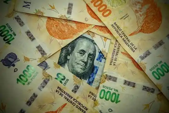 Un estudio destacó que el peso se apreció durante el año.