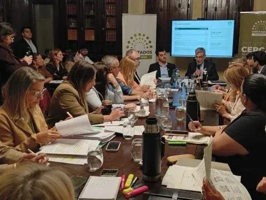 Stratta: “Es un proyecto de presupuesto electoral”