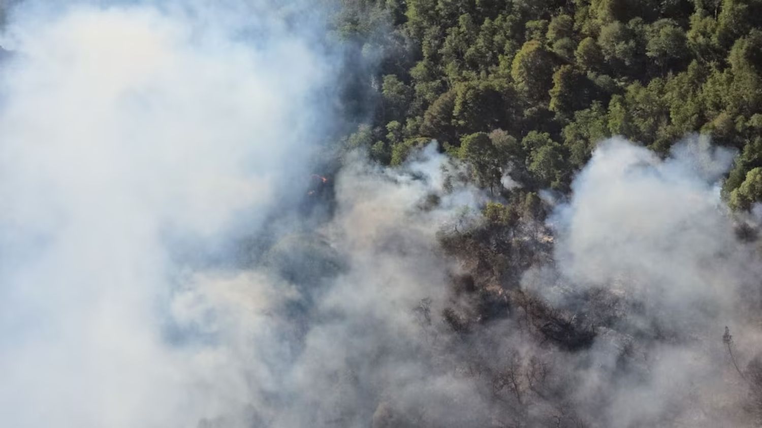 Ya son más de 2 mil hectáreas las afectadas por el incendio del Parque Nacional Nahuel Huapi