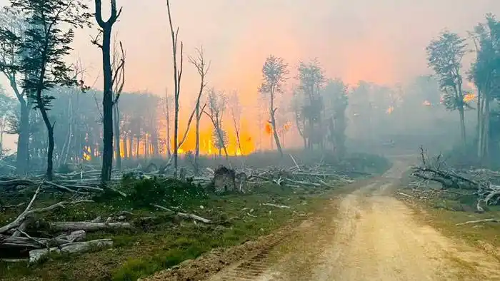 Productores de Tierra del Fuego en alerta por los incendios de más de 9.000 hectáreas