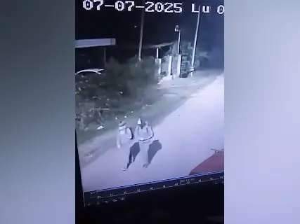 Cámaras de seguridad de la zona que grabaron a los menores caminar hacia la escuela.