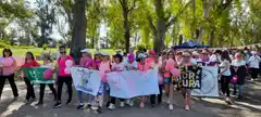 Numerosa participación en la “Caminata Rosa”