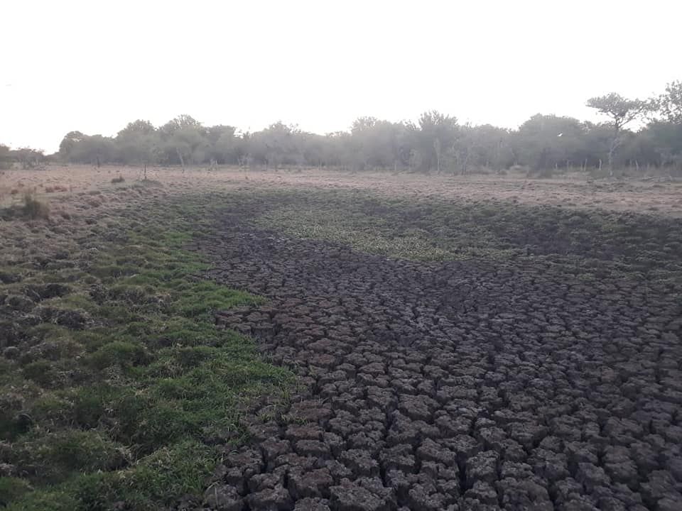 La Sociedad Rural solicita se convoque “urgente” a la  Comisión de Emergencia y Desastre Agropecuario