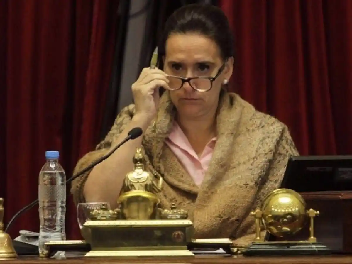 Michetti eligió el camino más largo para el proyecto de aborto legal y fue blanco de críticas 