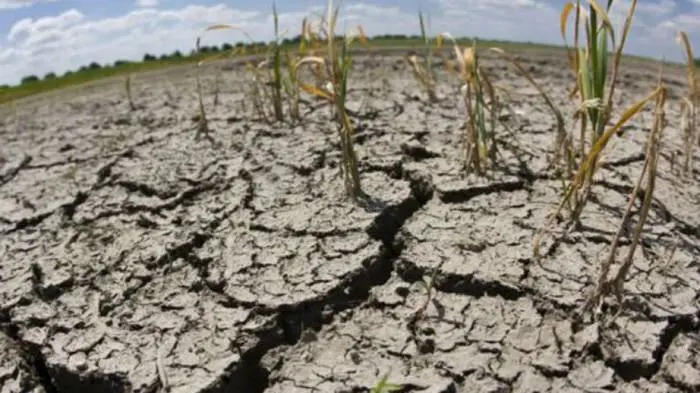 Productores impulsan medidas de fuerza ante la falta de respuestas del gobierno por la sequía