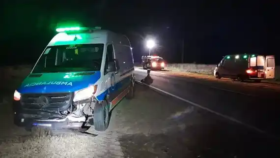 Ruta 12: una ambulancia impactó contra un ciervo cerca de General Galarza