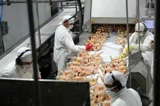 La principal avícola del país se declaró en crisis y busca reducir salarios o despedir 700 empleados