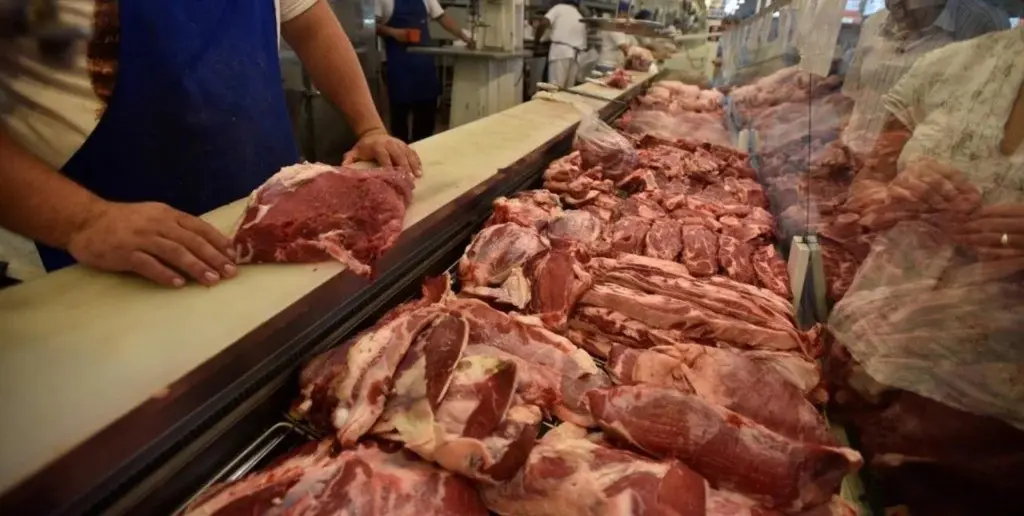 El consumo total de carnes rondaría los 113 kg por habitante en 2025, recuperándose un 3% interanual y realineándose con el promedio de los últimos años.