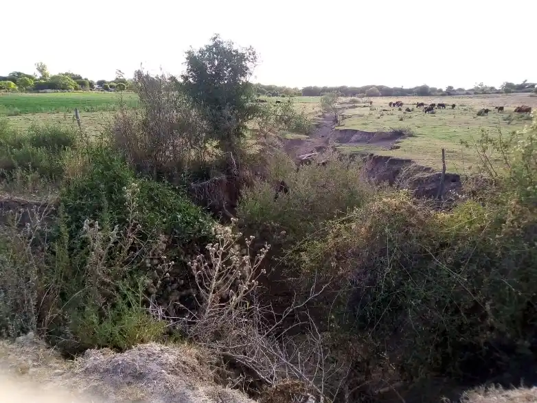Preocupa la escasez de agua en los establecimientos rurales