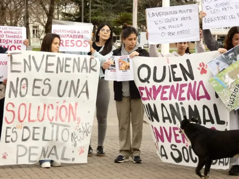 “El autor del hecho fue Mendiburu Sebastián Rodrigo”, afirmó la fiscal.