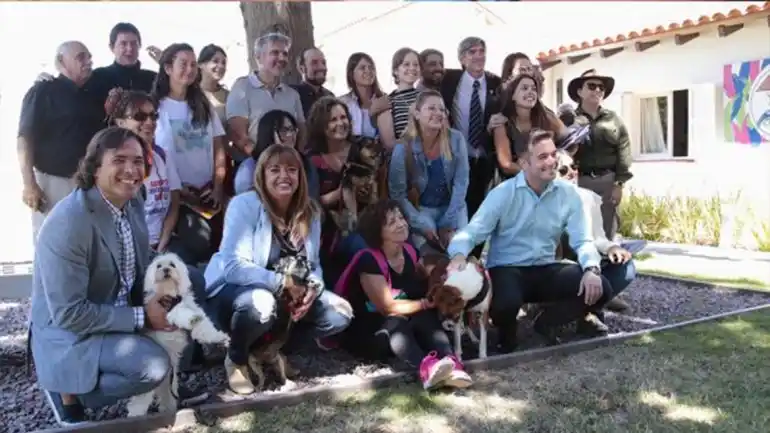 Es furor en Neuquén la app de denuncias contra el maltrato animal