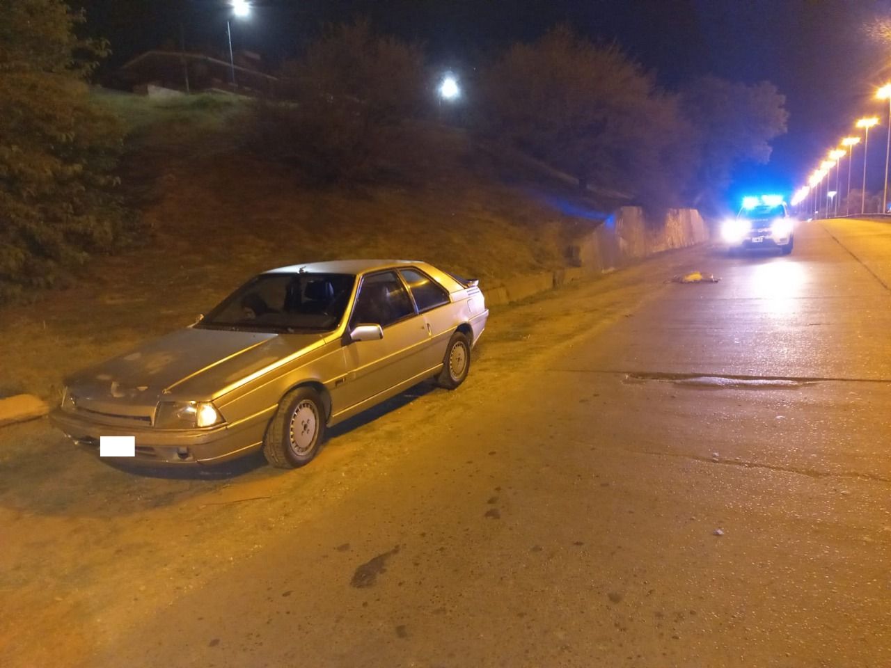 Chocó un ciervo que se cruzó en la calle