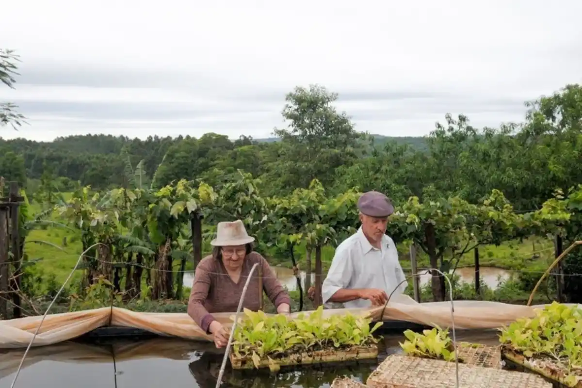 Programa de Incremento Exportador de Massa: Impulsando el éxito de las empresas en el mercado global