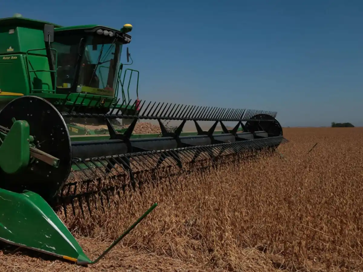 Imputan por maniobras fraudulentas a cinco directivos de dos empresas agropecuarias en Córdoba