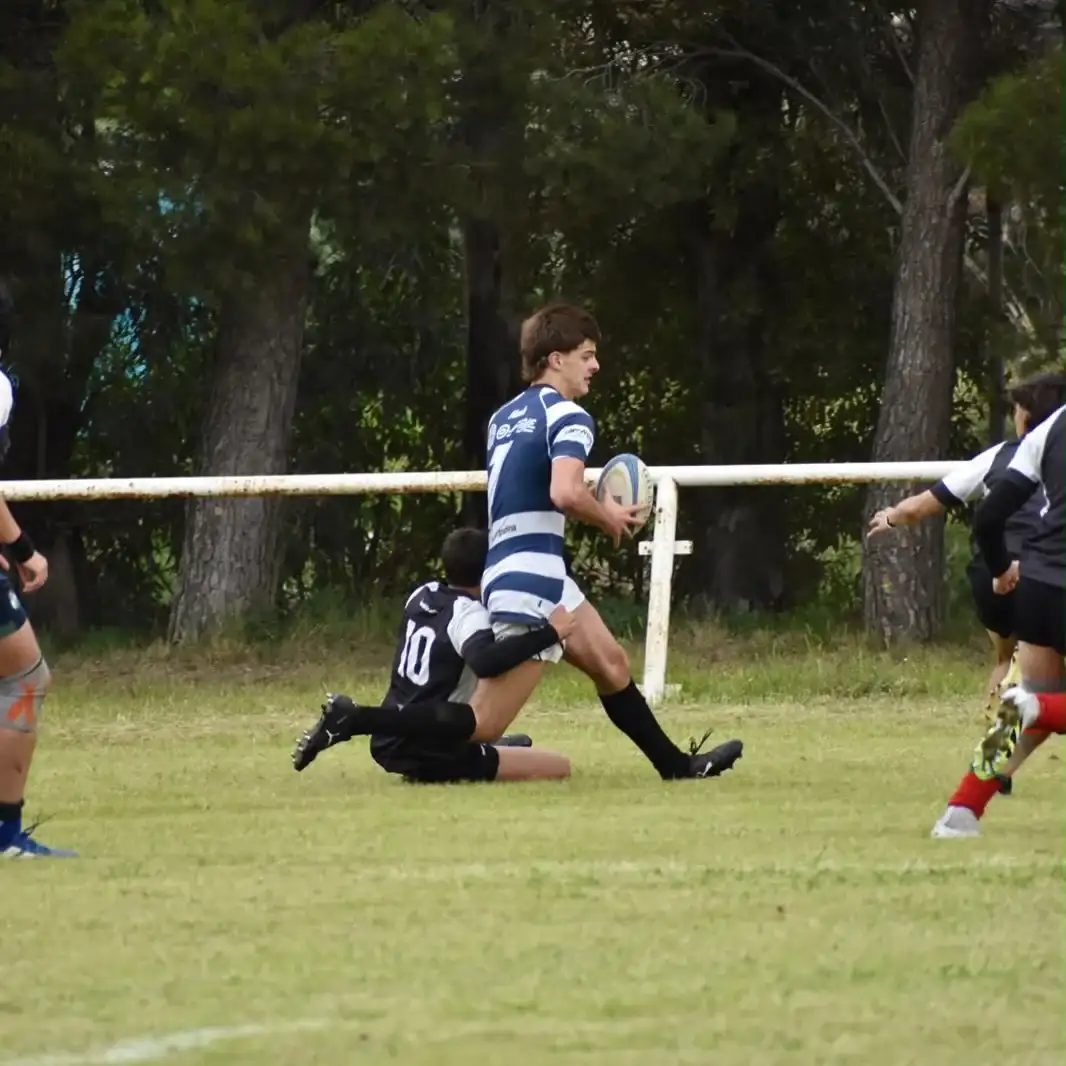 tarhc juveniles - 3