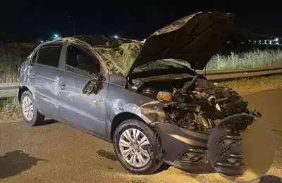 Autovía 14: un auto despistó en una rotonda y volcó