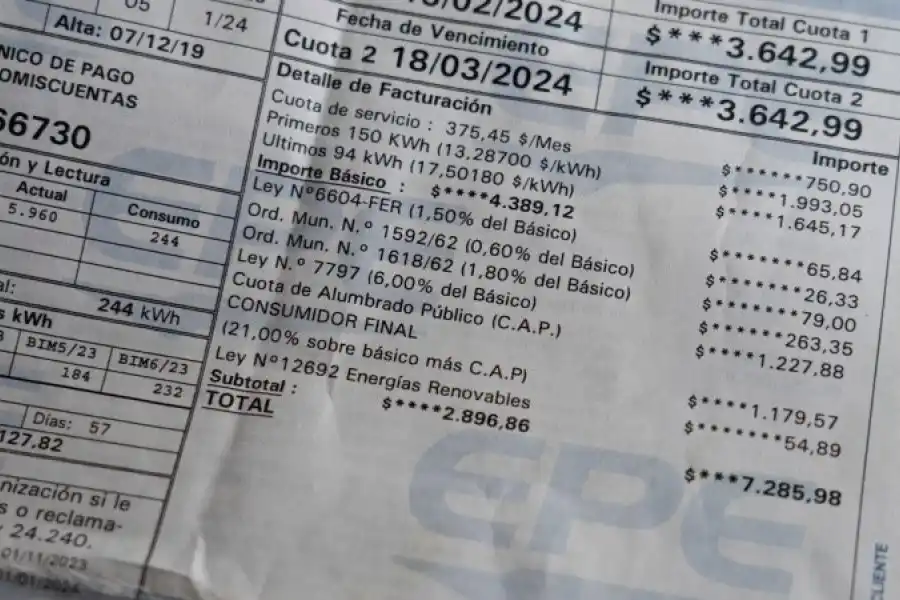 Una diputada libertaria propone suprimir los impuestos provinciales que aumentan las facturas de la EPE