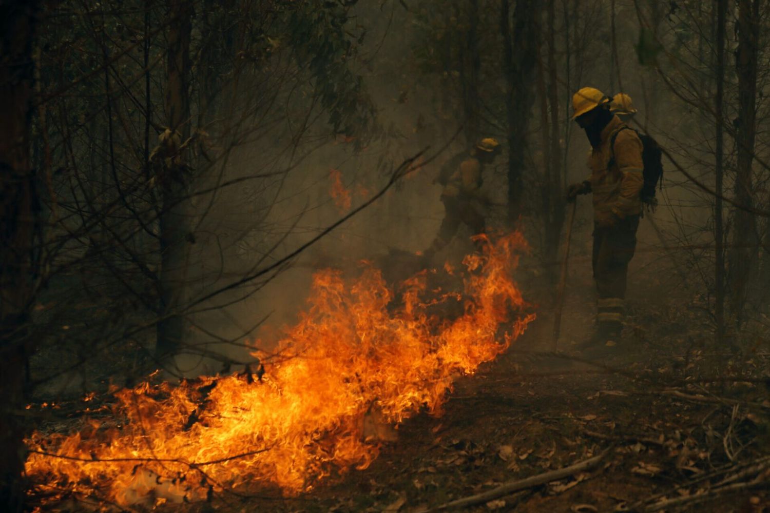 ¡Chile sumergido en una CATÁSTROFE! A 22 aumentan los fallecidos por incendios forestales