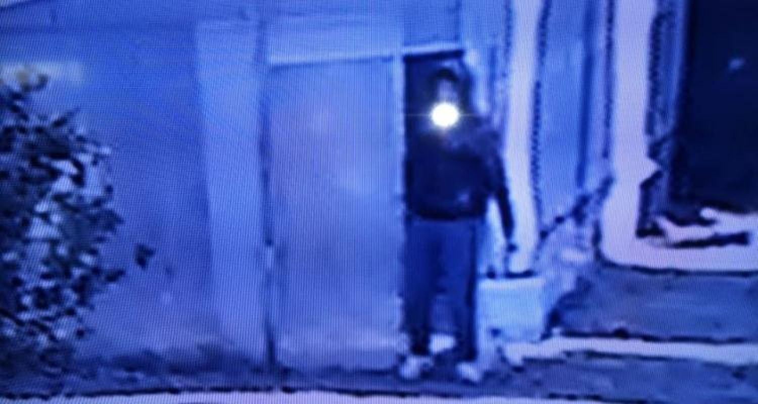 Ladrón entró dos veces a robar plantas de un invernáculo y quedó registrado por las cámaras de seguridad