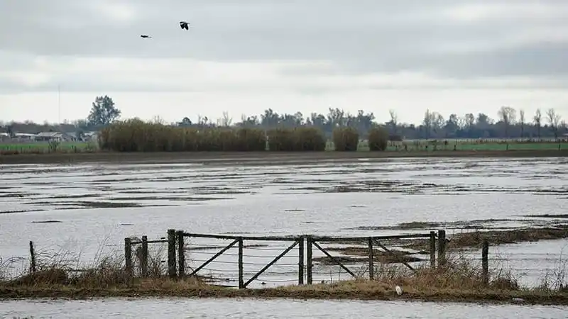 Ganaron los productores: no van a expropiar los campos afectados por La Picasa