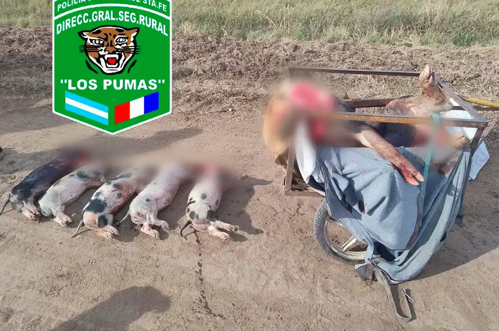 Se metieron a un campo ajeno y carnearon a gran cantidad de lechones: cinco detenidos