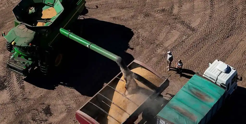 El USDA reportó que el 69% de la soja se encuentra en condiciones buenas y excelentes. El mismo se posiciona como el mejor registro para la fecha en los últimos 5 años. Esto refuerza la estimación de rendimientos récord.