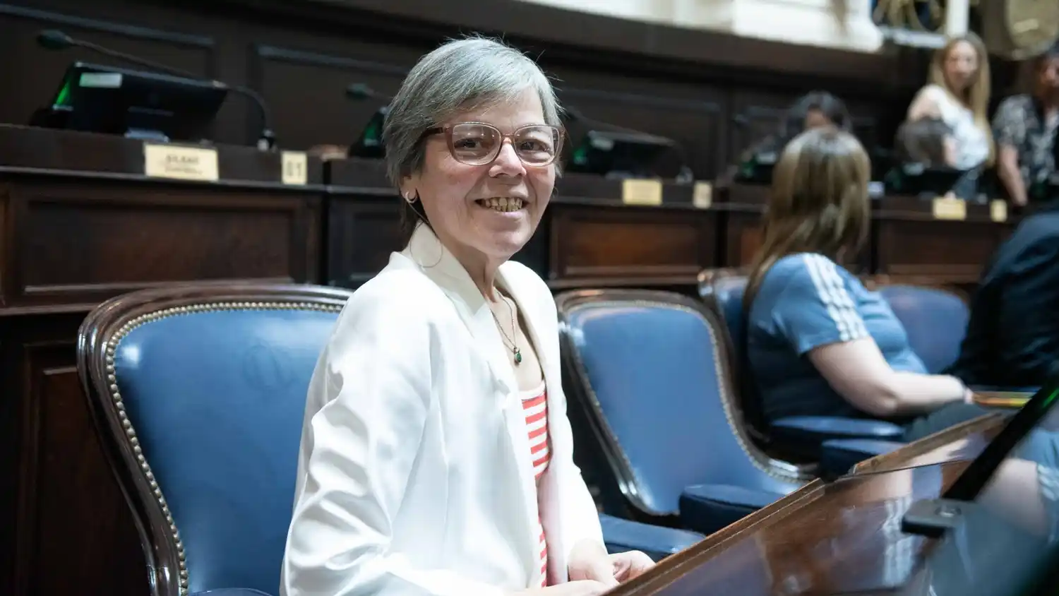 La gilense Malaisi acusó a Milei de usar aviones militares y gastar USD 300 mil en campaña: “Es obsceno y antiético”