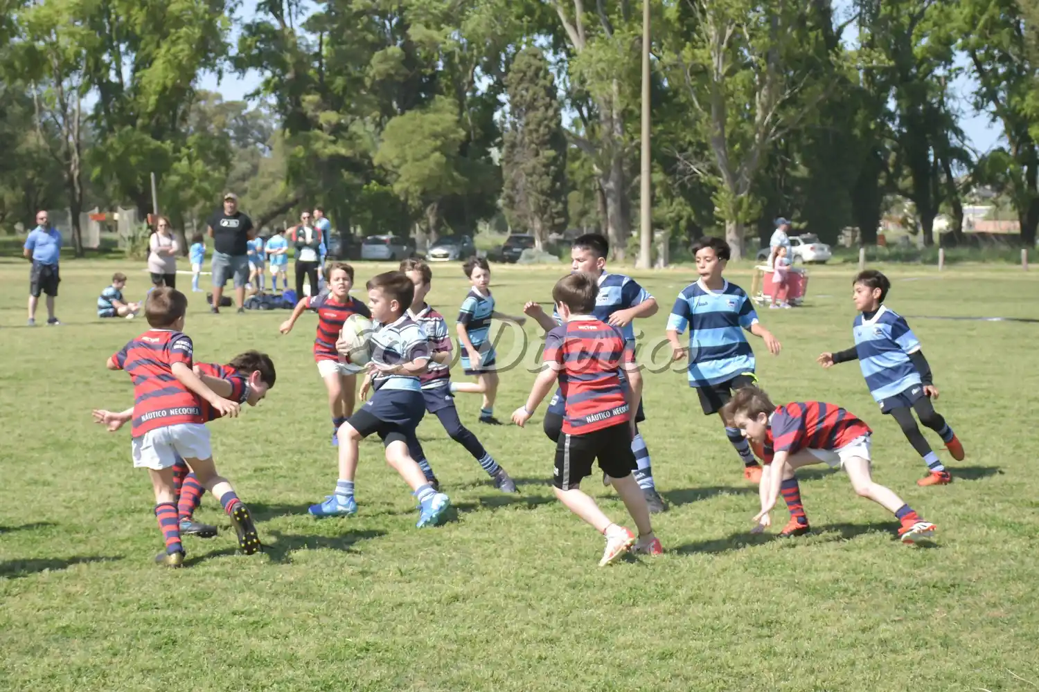 Encuentro de infantiles en el Club Náutico 5