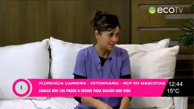 Mascotas: maniobras de RCP para perros y gatos