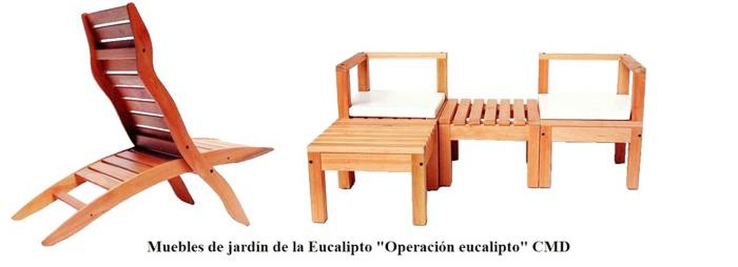 Muebles de eucalipto:  Una materia pendiente en la región